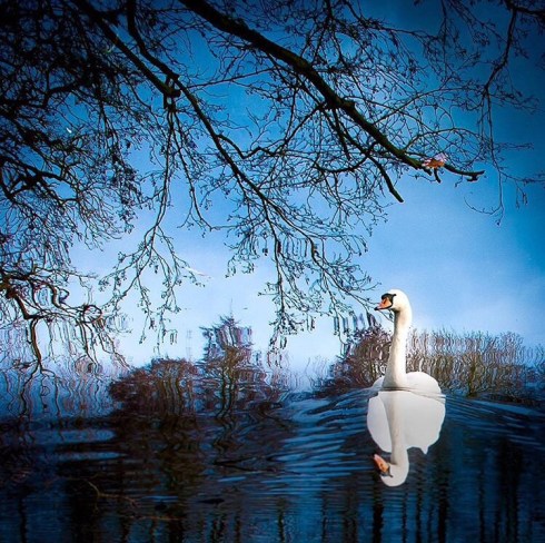 Photo taken using a Nikon D70s with Lightroom adjustments by Mas'ud Ahmed Khan. Instagram ID: masud.a.khan 